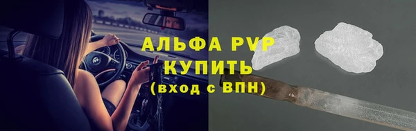 ECSTASY Белая Холуница