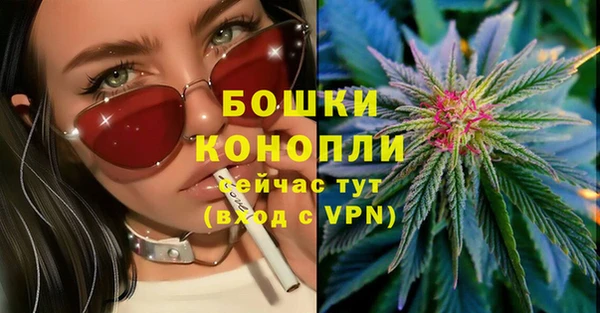 прущие грибы Белая Калитва
