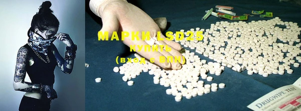 ECSTASY Белая Холуница