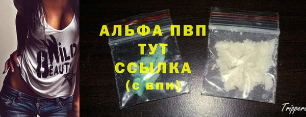 мяу мяу мука Ахтубинск